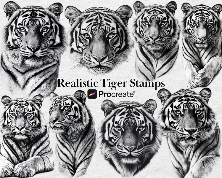 Procreate Stamps