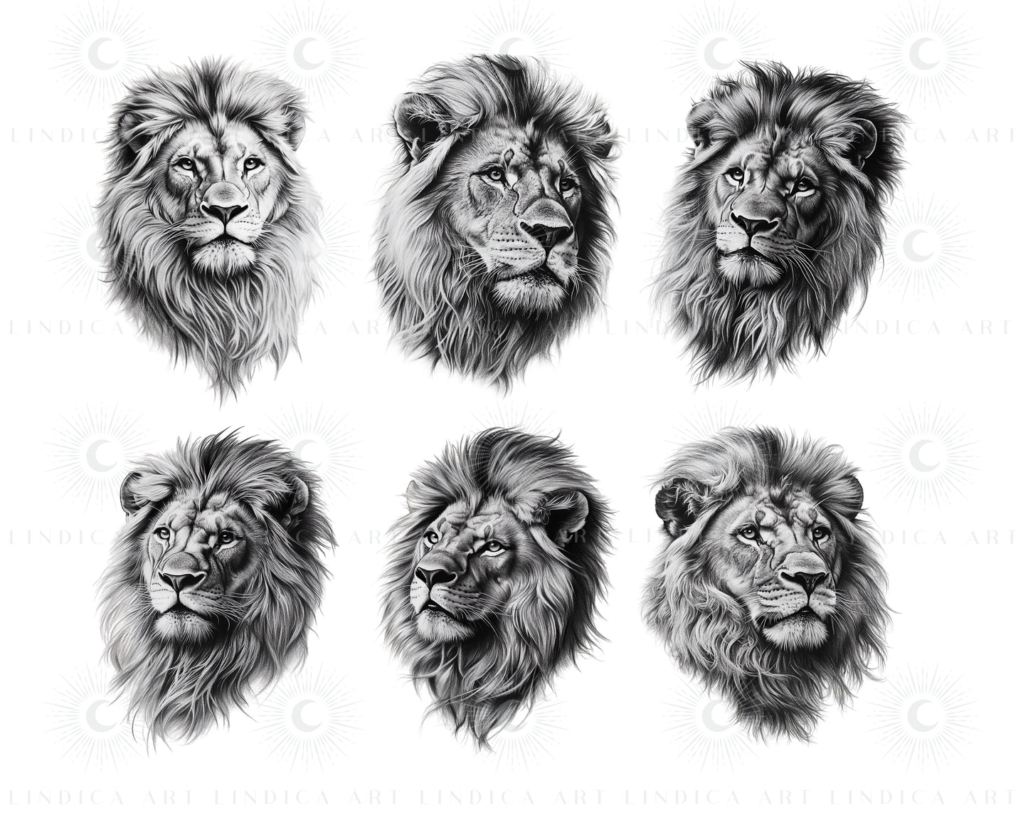 Procreate Realistic Lions Stamp Brushes Bundle