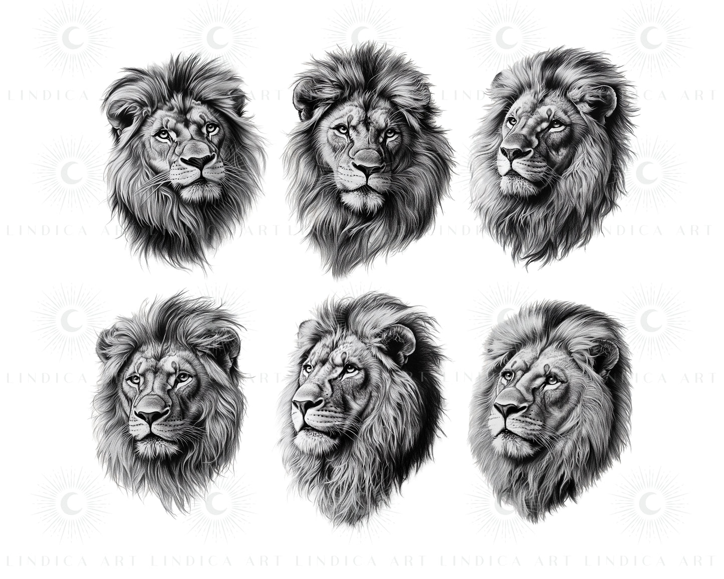 Procreate Realistic Lions Stamp Brushes Bundle