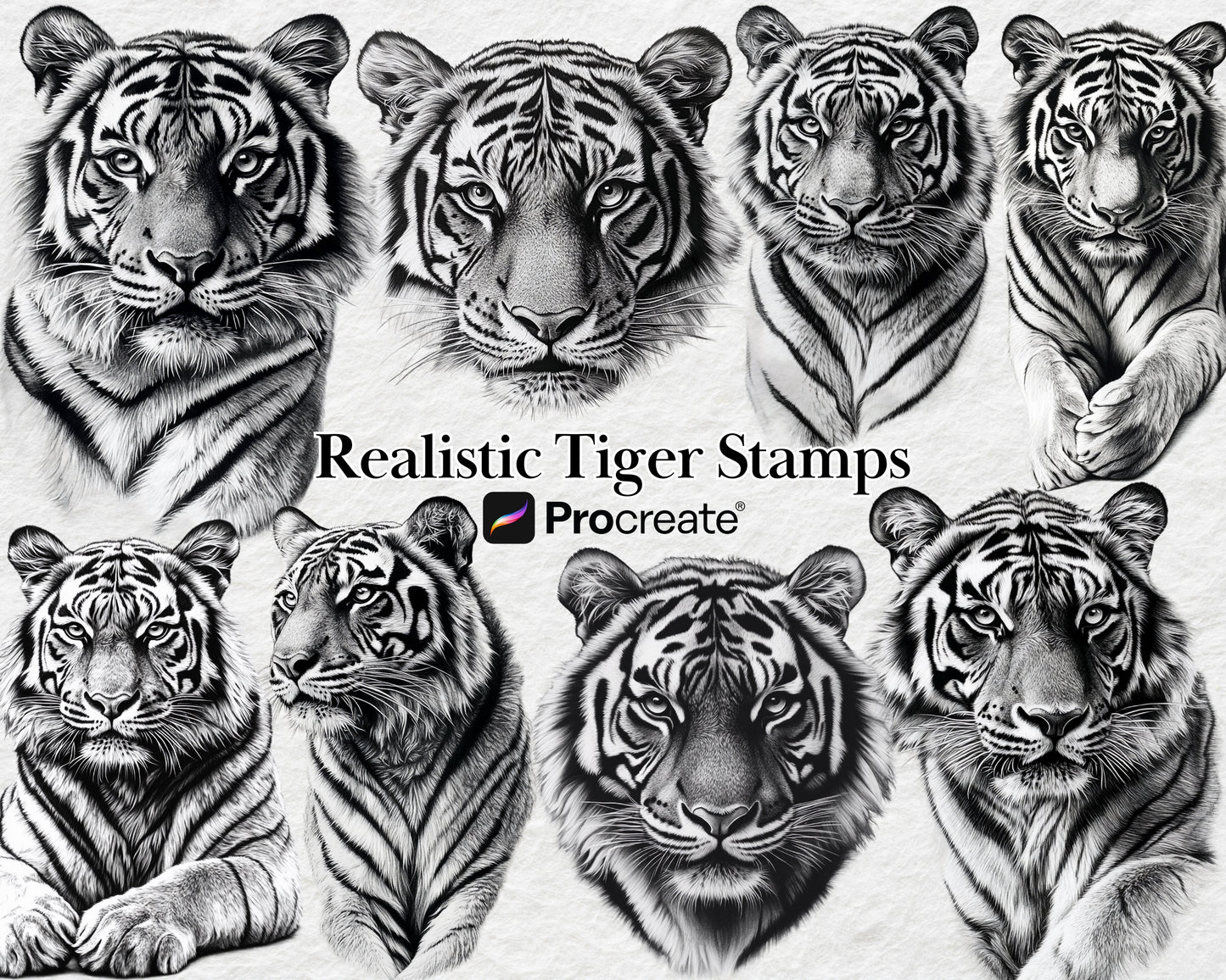 Procreate Realistic Tigers Stamp Brushes Bundle