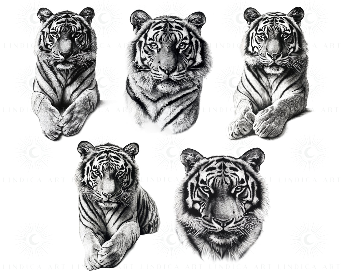 Procreate Realistic Tigers Stamp Brushes Bundle