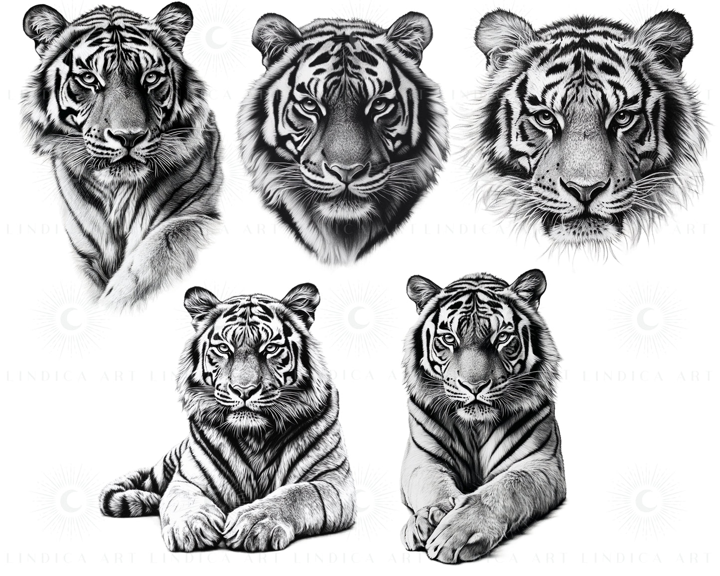 Procreate Realistic Tigers Stamp Brushes Bundle