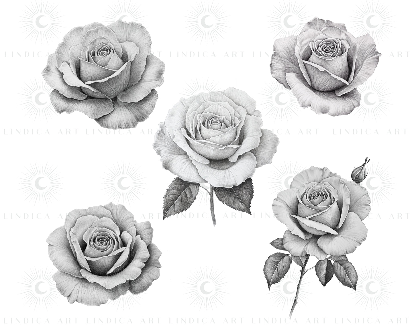 Procreate Rose Stamp Brushes Bundle