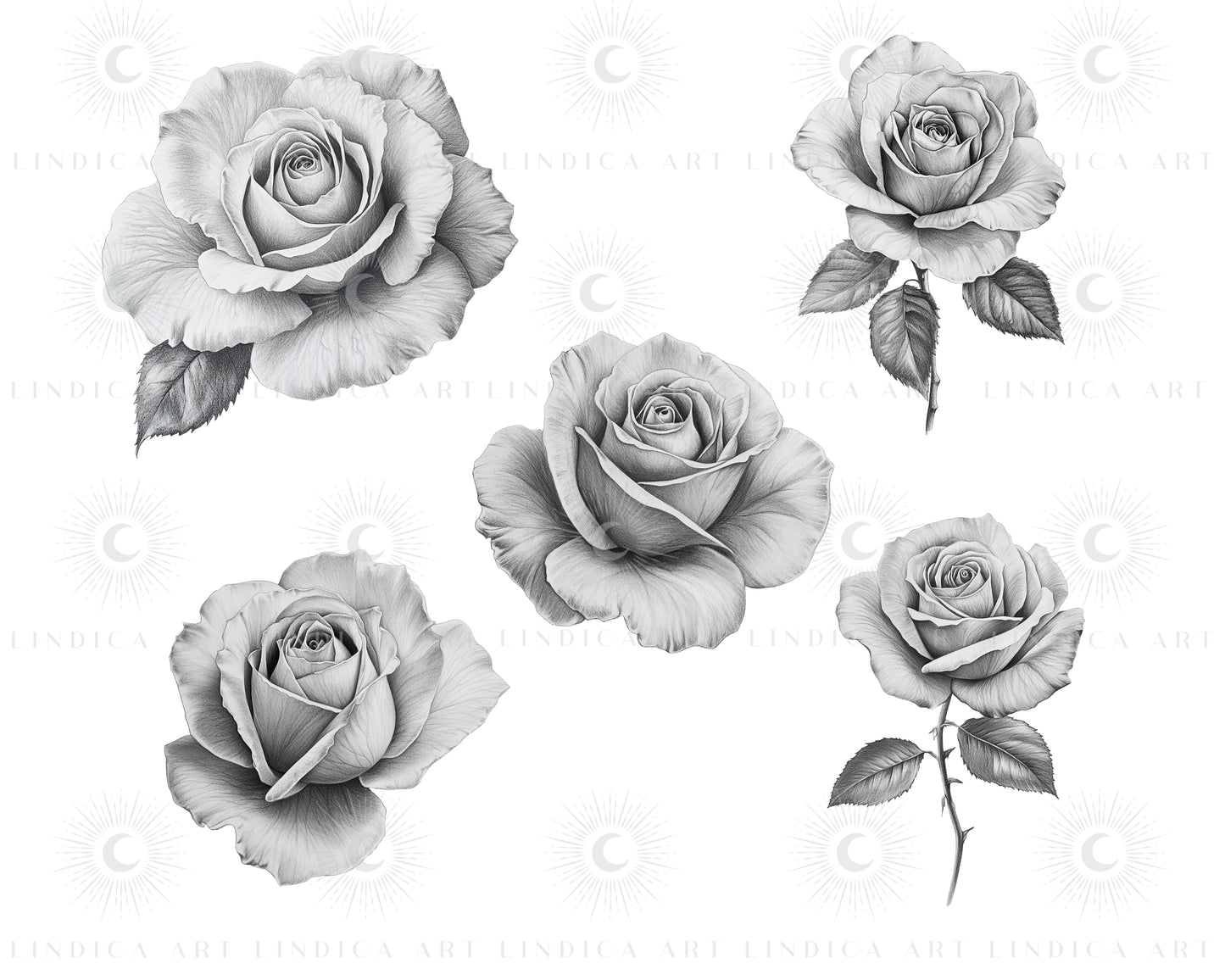 Procreate Rose Stamp Brushes Bundle