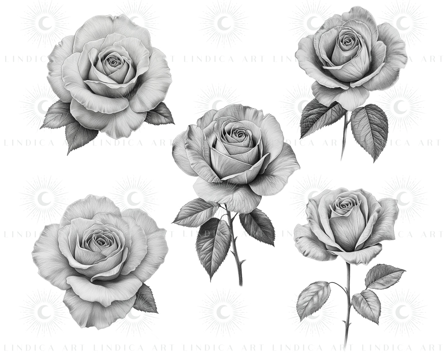 Procreate Rose Stamp Brushes Bundle
