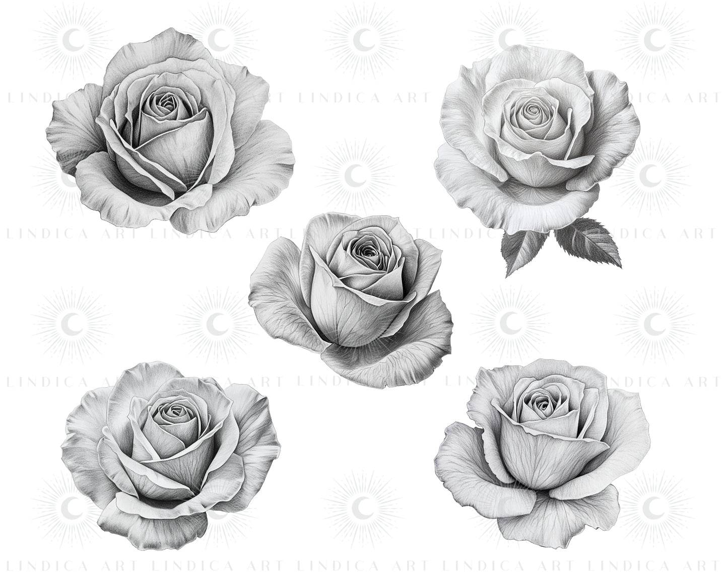 Procreate Rose Stamp Brushes Bundle