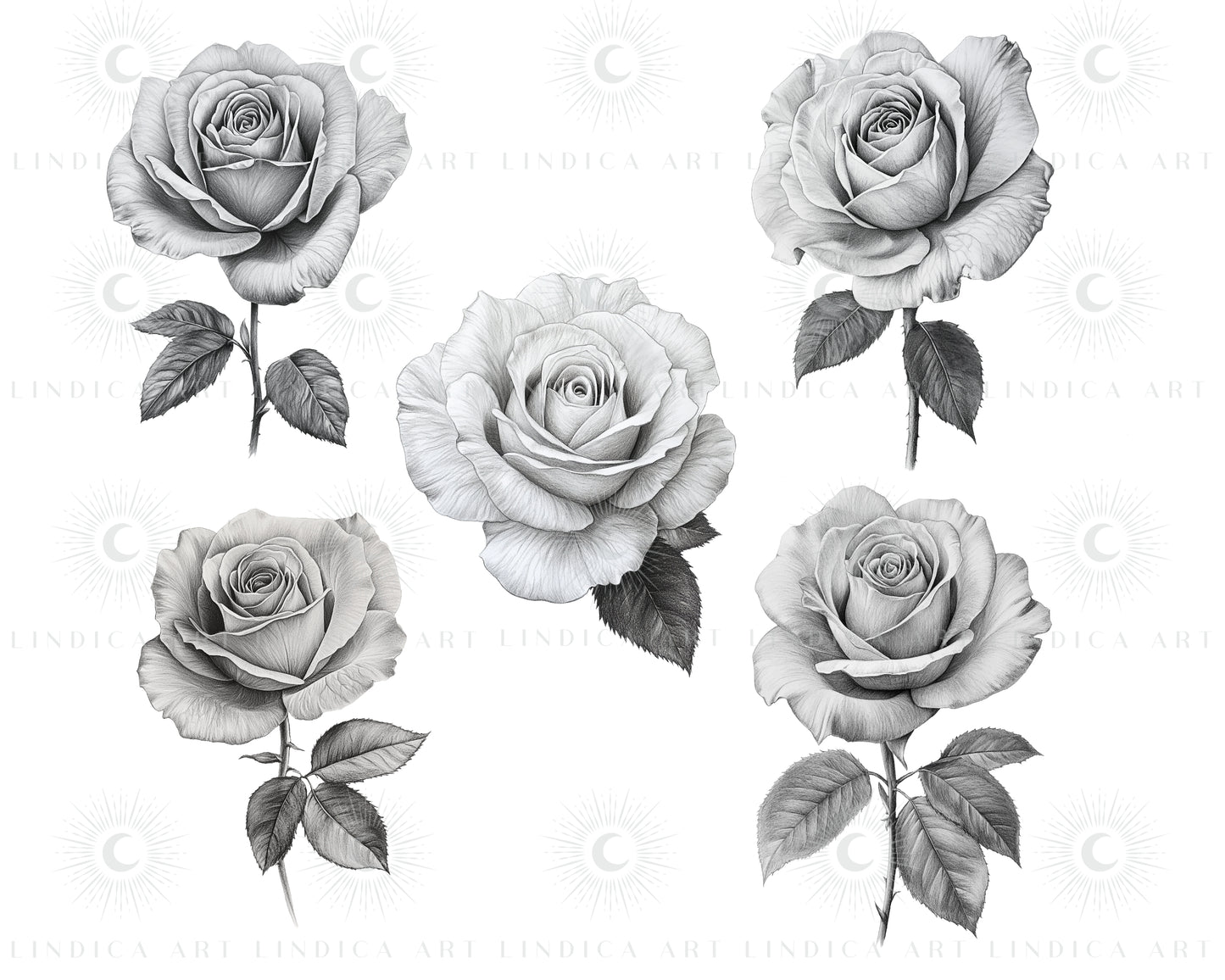 Procreate Rose Stamp Brushes Bundle