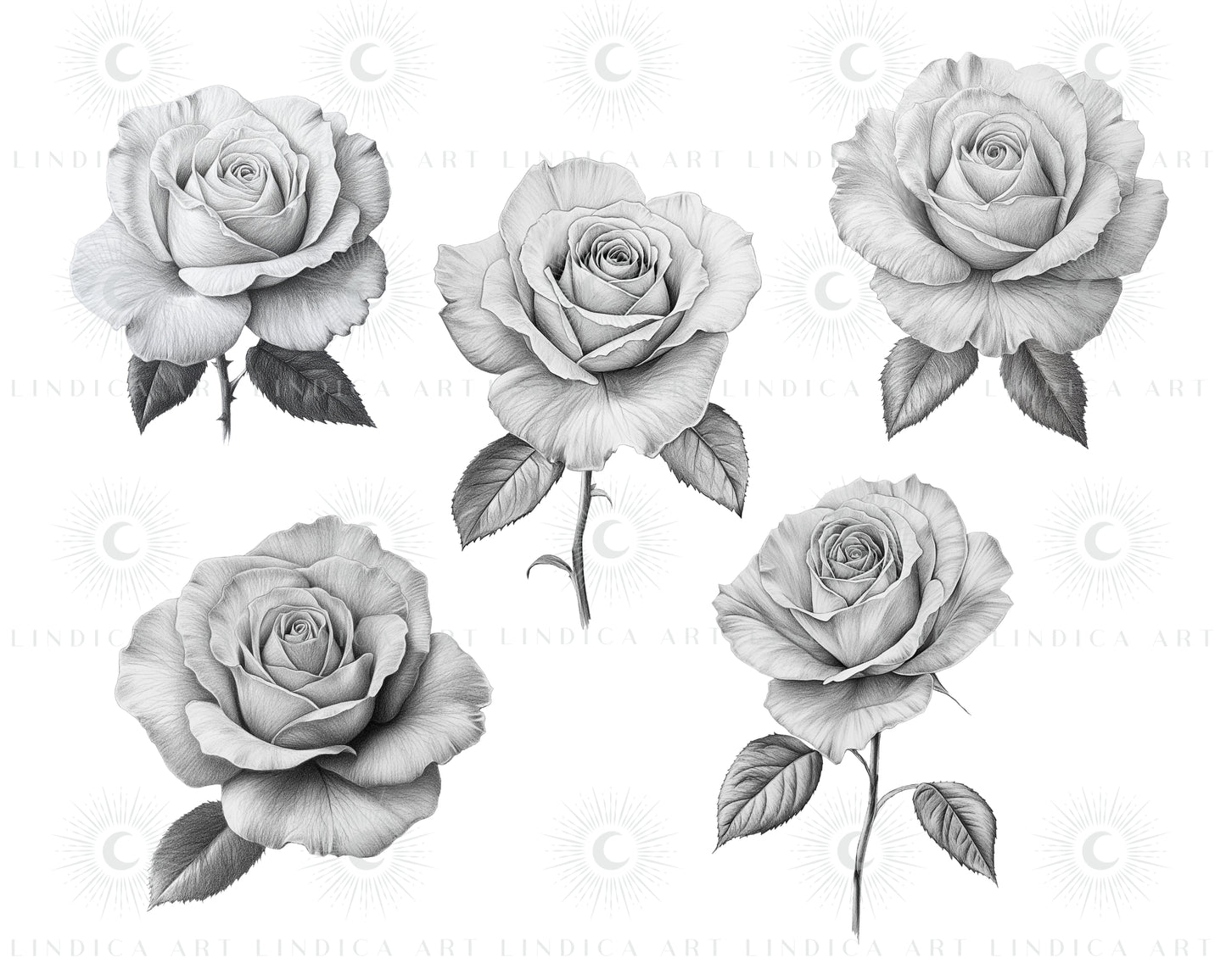 Procreate Rose Stamp Brushes Bundle
