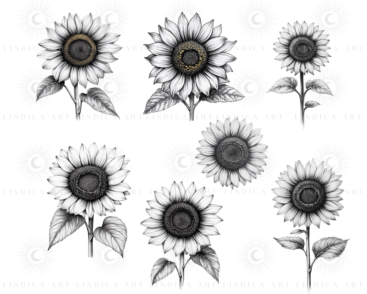 Procreate Sunflowers Stamp Brushes Bundle
