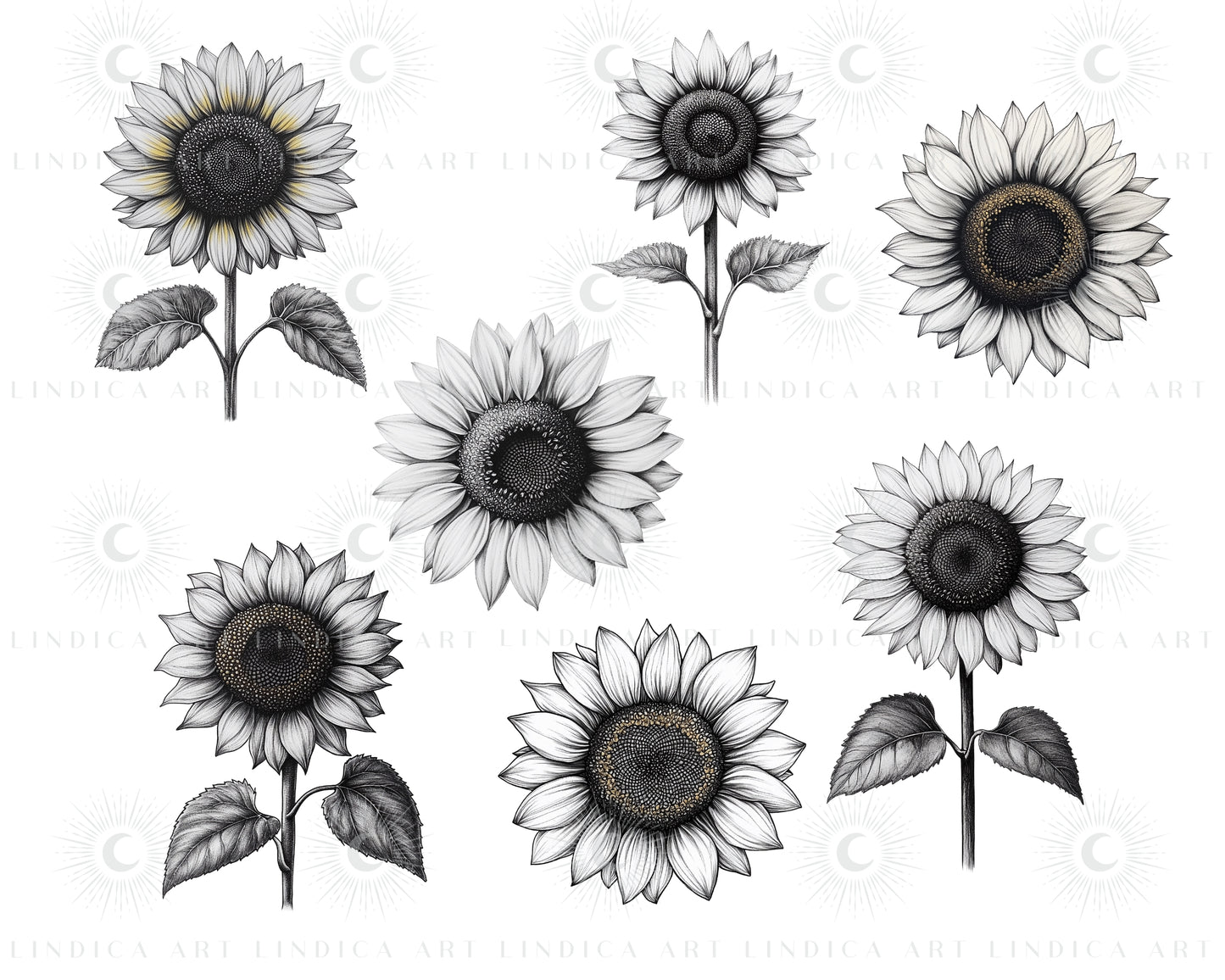 Procreate Sunflowers Stamp Brushes Bundle