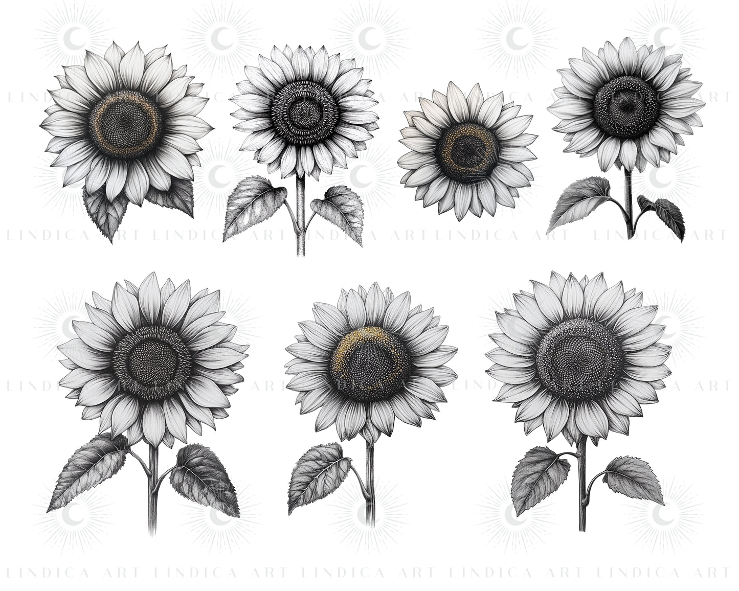 Procreate Sunflowers Stamp Brushes Bundle