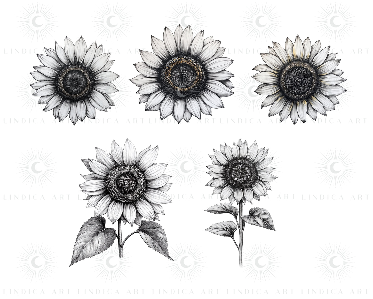 Procreate Sunflowers Stamp Brushes Bundle