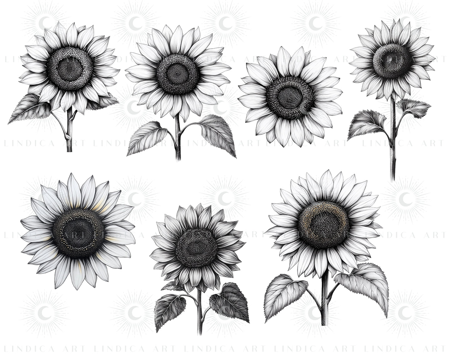 Procreate Sunflowers Stamp Brushes Bundle