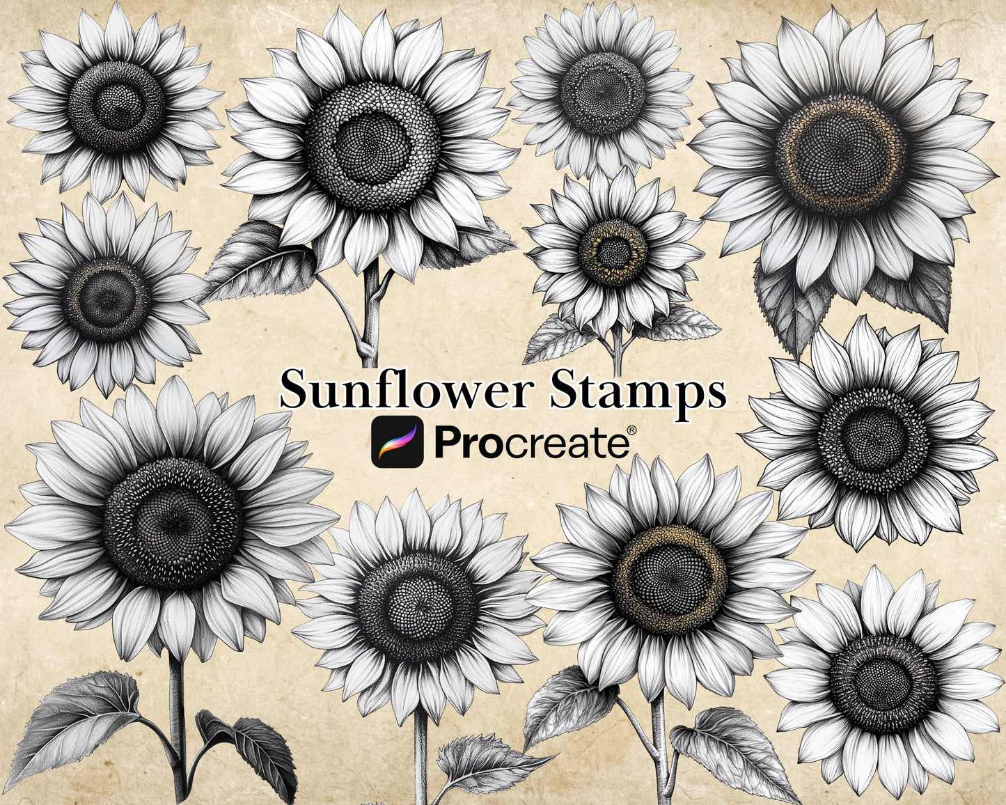 Procreate Sunflowers Stamp Brushes Bundle