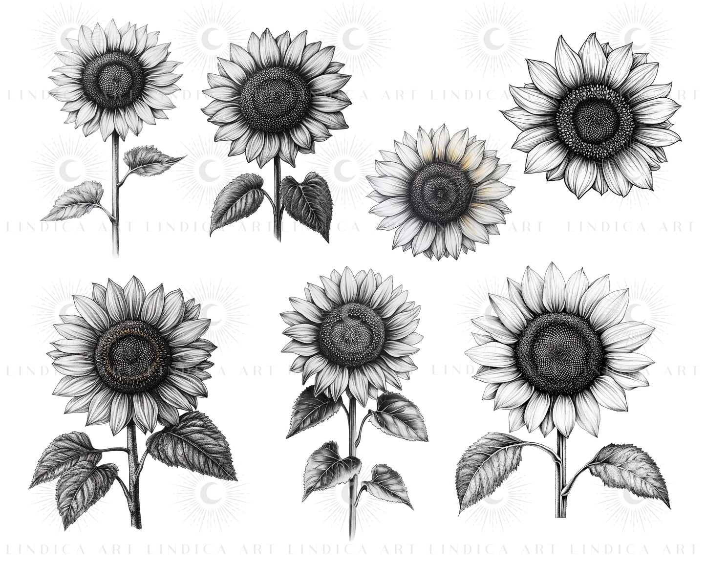 Procreate Sunflowers Stamp Brushes Bundle