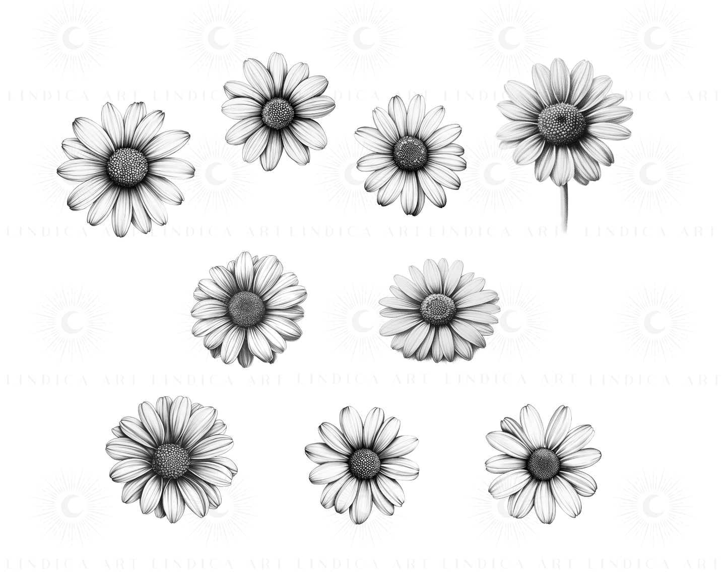 Procreate Daisy Stamp Brushes Bundle