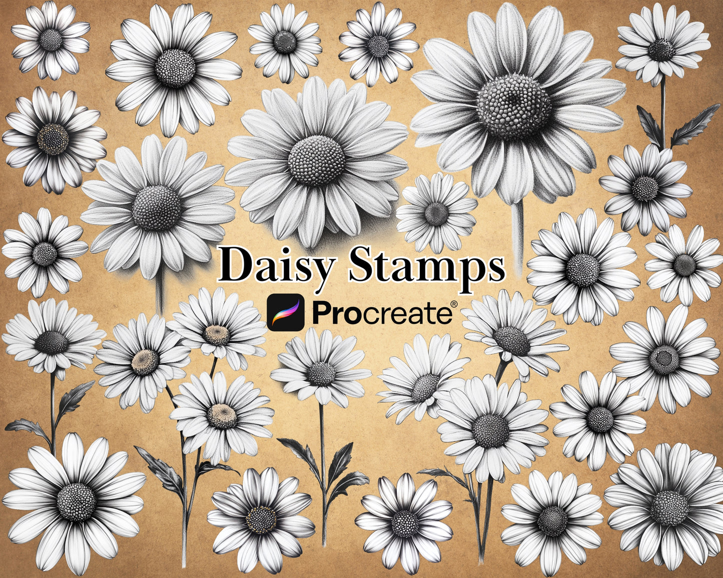 Procreate Daisy Stamp Brushes Bundle