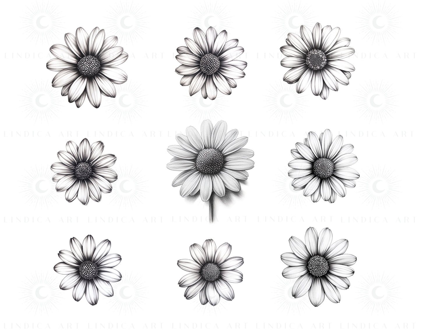Procreate Daisy Stamp Brushes Bundle