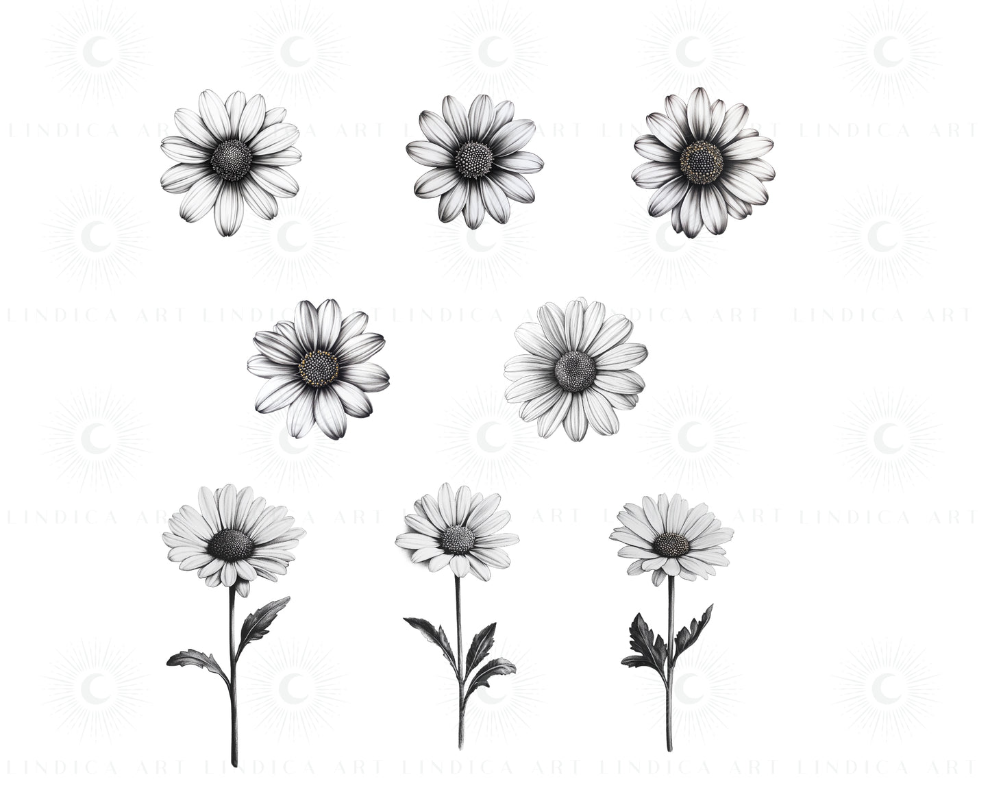 Procreate Daisy Stamp Brushes Bundle