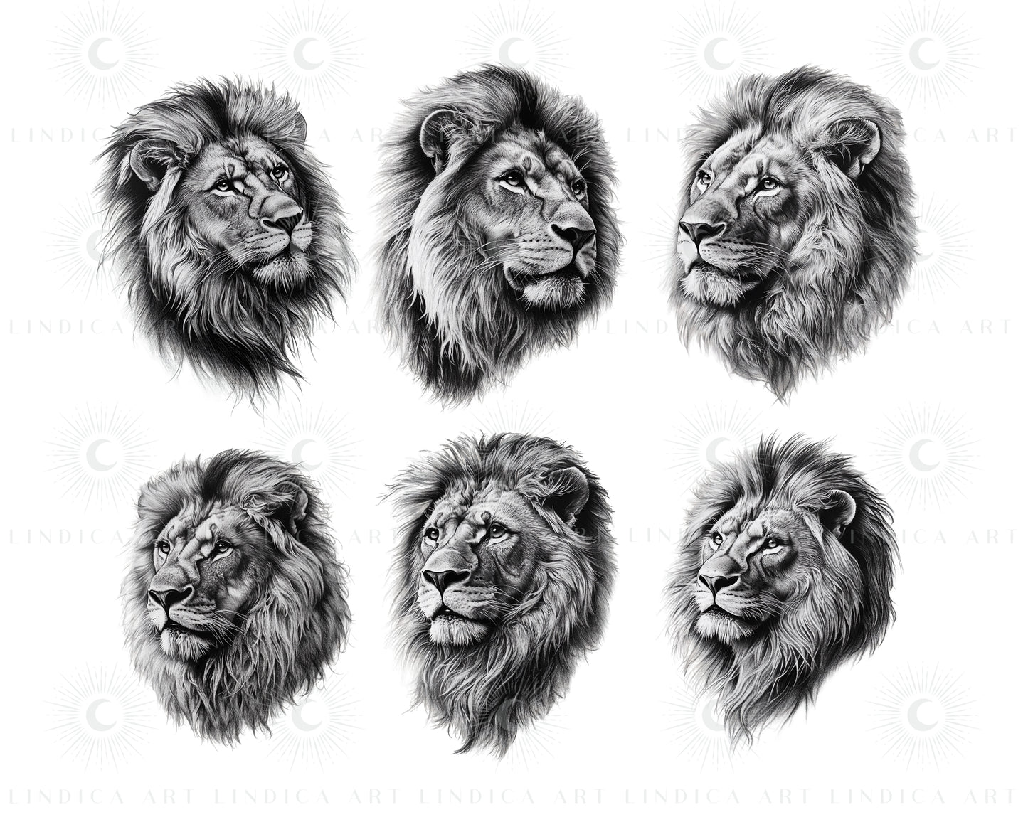 Procreate Realistic Lions Stamp Brushes Bundle