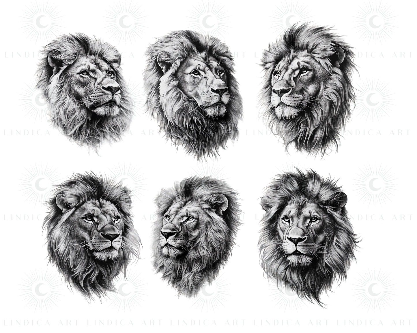 Procreate Realistic Lions Stamp Brushes Bundle