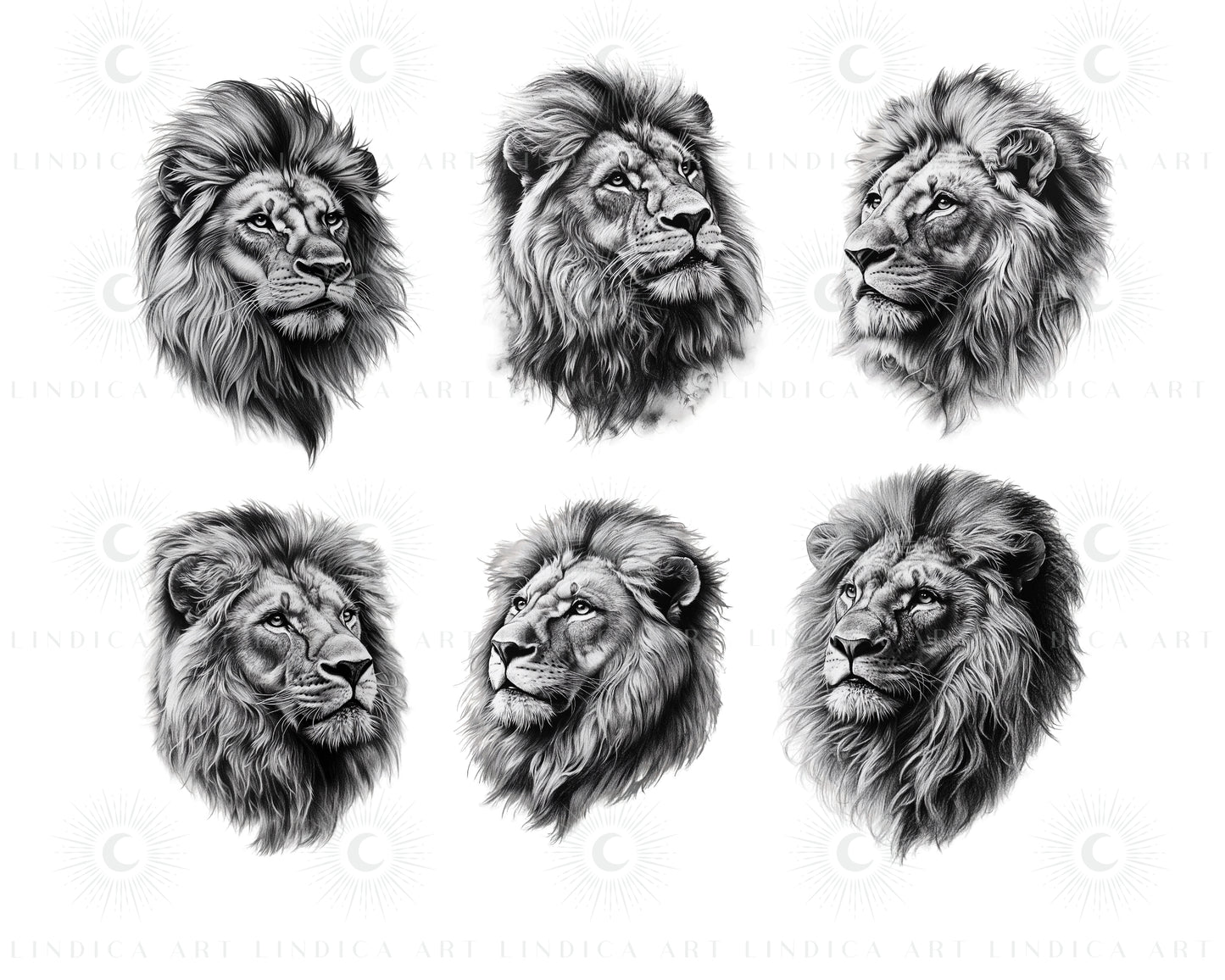 Procreate Realistic Lions Stamp Brushes Bundle