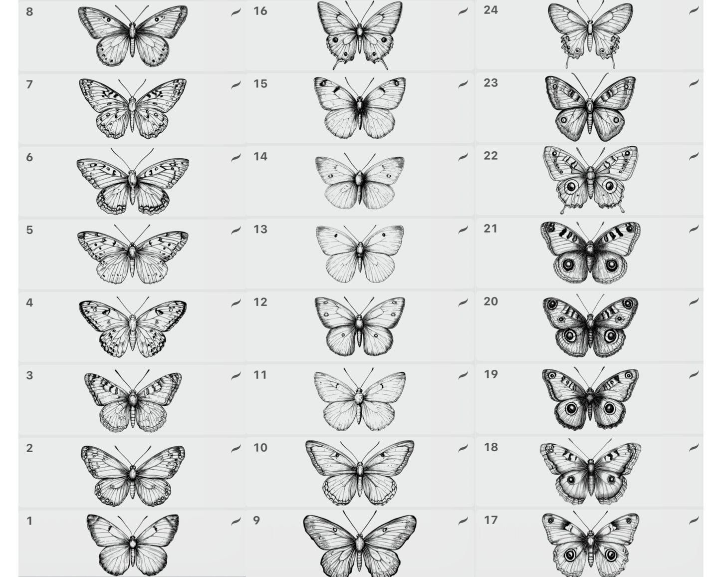 Procreate Vintage Butterflies Stamp Brushes Bundle