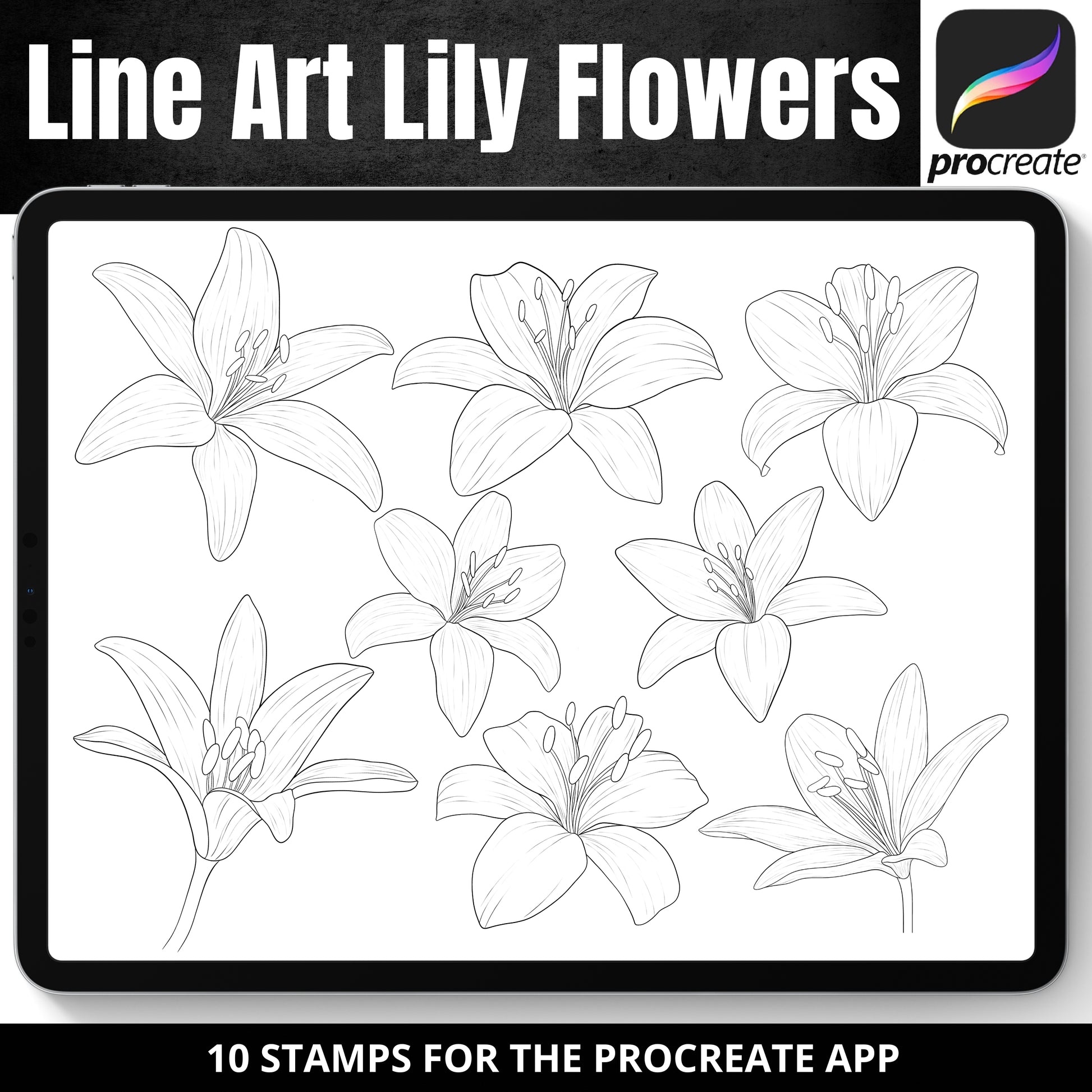 Procreate Stamp Brushes - Line art lily flowers tattoo designs 